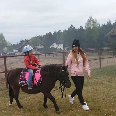 W Stadninie Koni Cheval *
