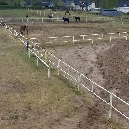 W Stadninie Koni Cheval Gasthof *