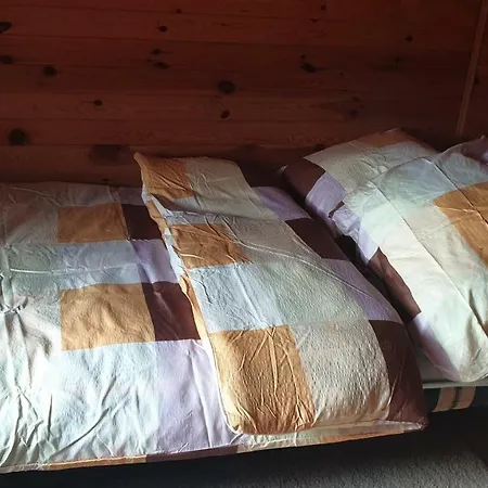 W Stadninie Koni Cheval Czersk Pomorski