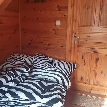W Stadninie Koni Cheval