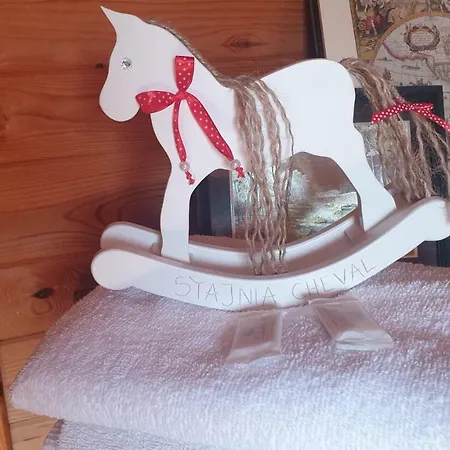 W Stadninie Koni Cheval
