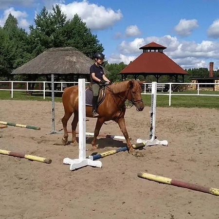 W Stadninie Koni Cheval Gasthof *